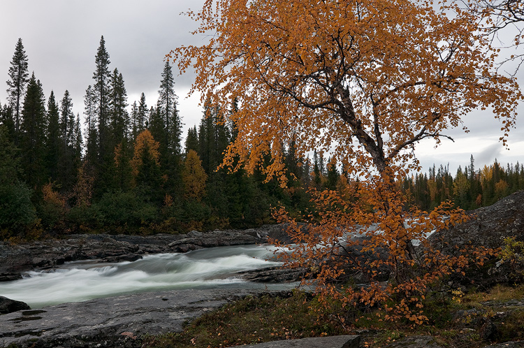 Pilvinen ilta Gamaj�hk�lla.