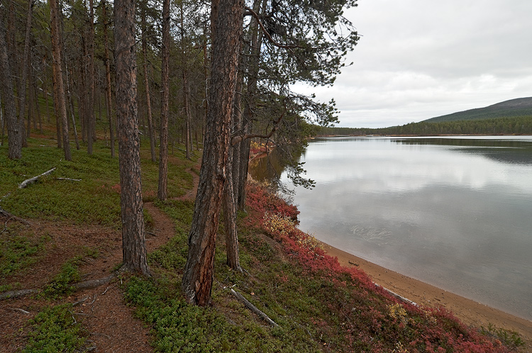 Polku kulkee alkumatkan j�lkeen aivan joen rantaa.