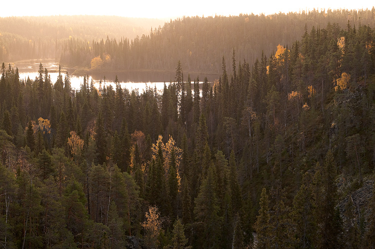 Oulankajoki laskee t�ss� kohtaa Savilampeen ja siit� joki jatkaa mutkitellen l�pi kansallispuiston ja Ven�j�n puolelle.