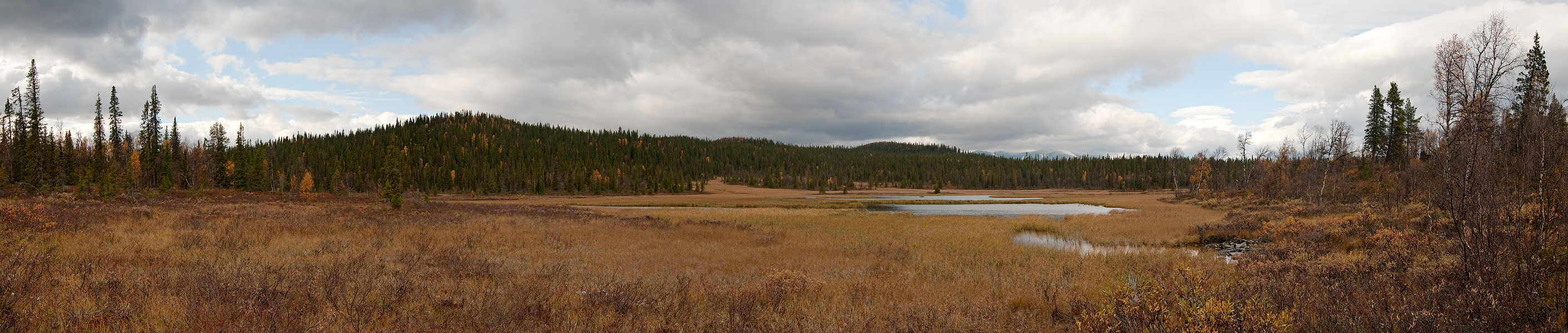 Panoraama suolta jonka l�pi virtaa Nj�hk�j�hk�.