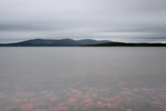 _3004801