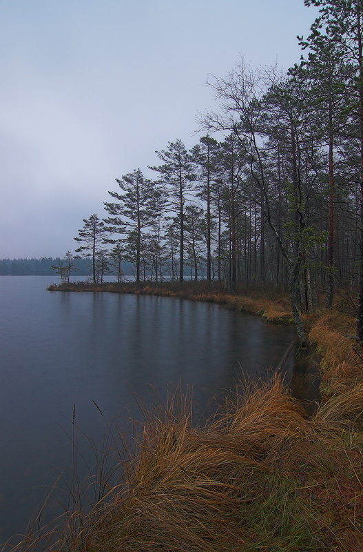 SYKSYN SATEESSA