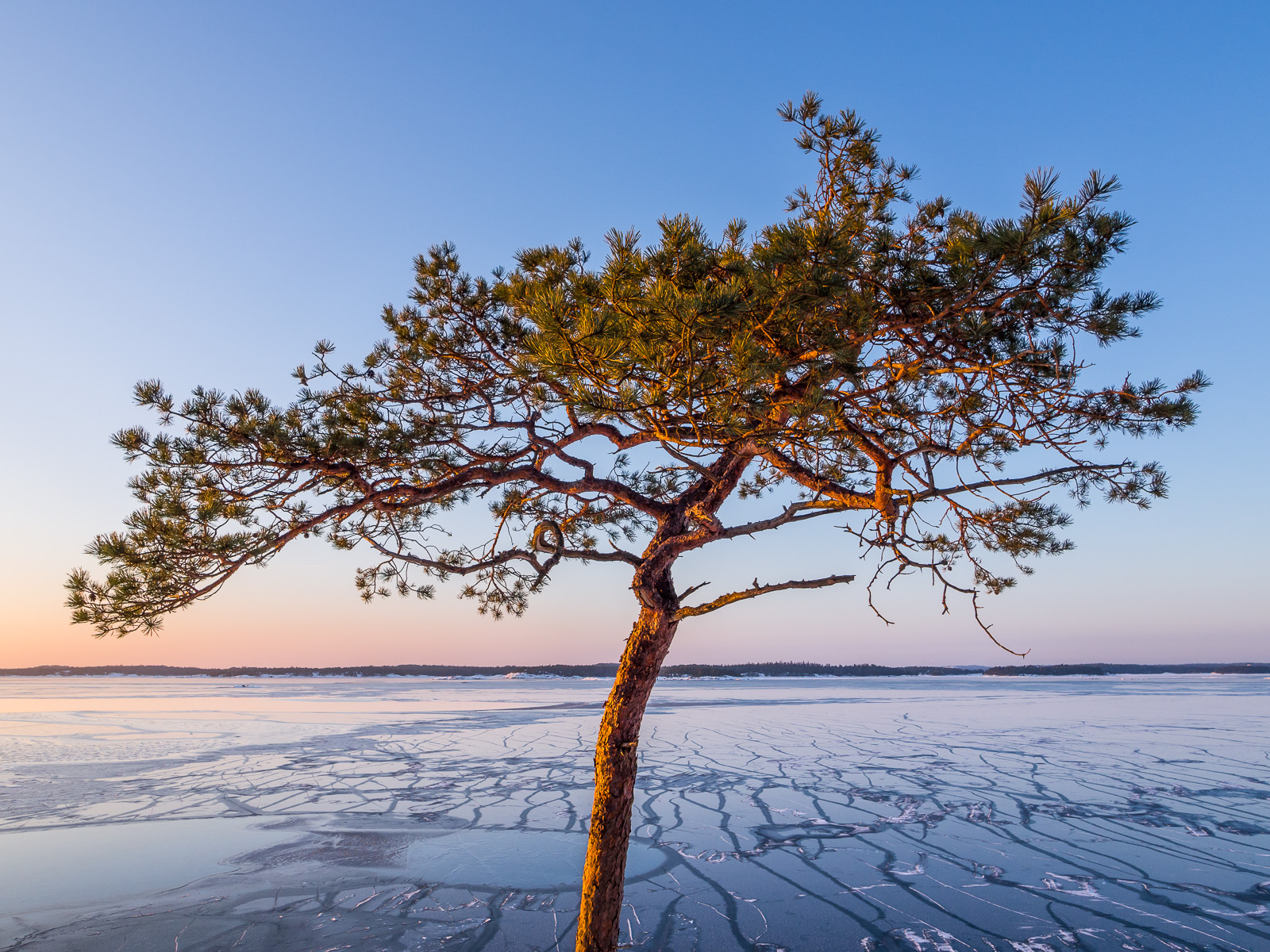 J&auml;iden p&auml;&auml;ll&auml;