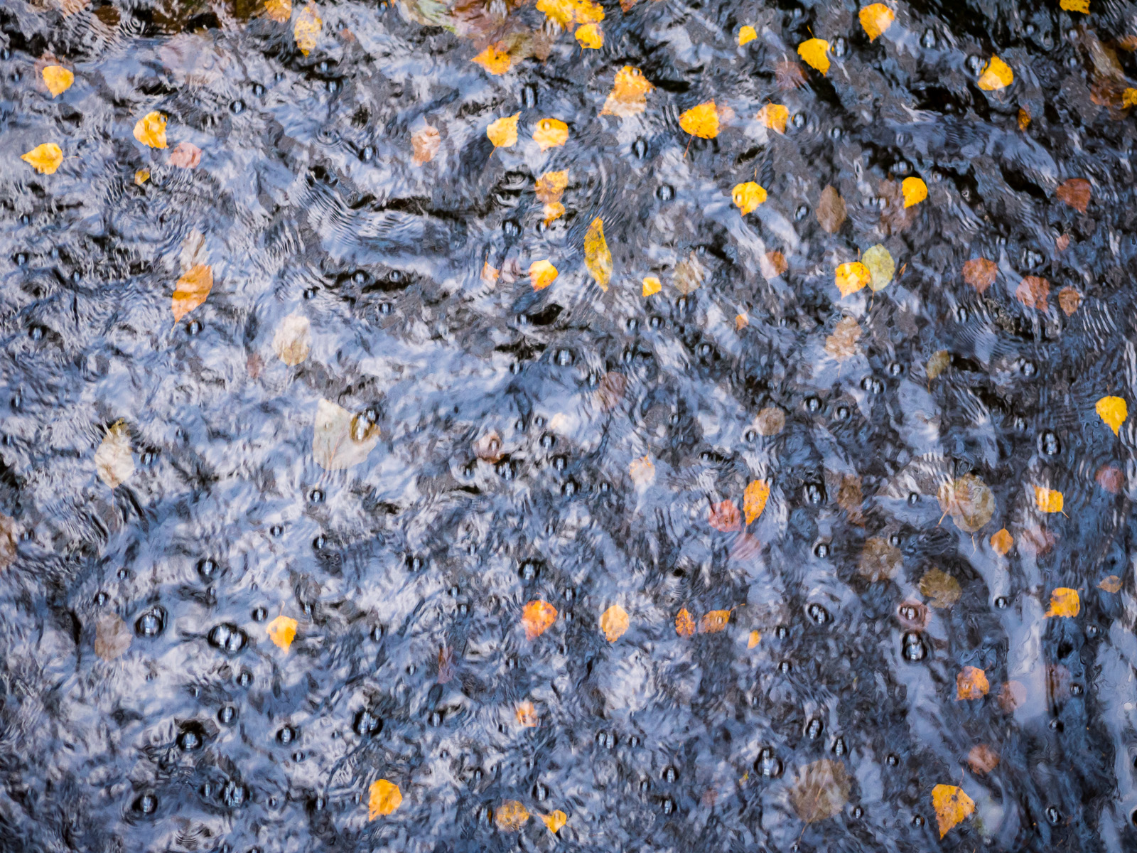 V&auml;ri&auml; pinnan alla