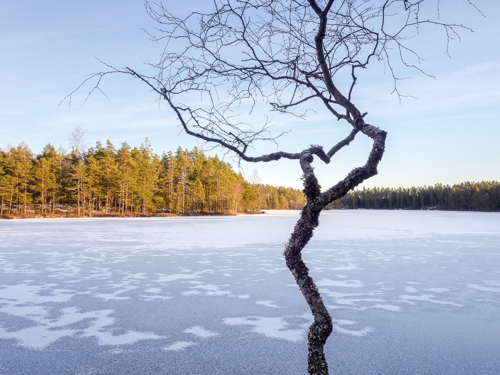 Talvi on tulossa Nuuksioon